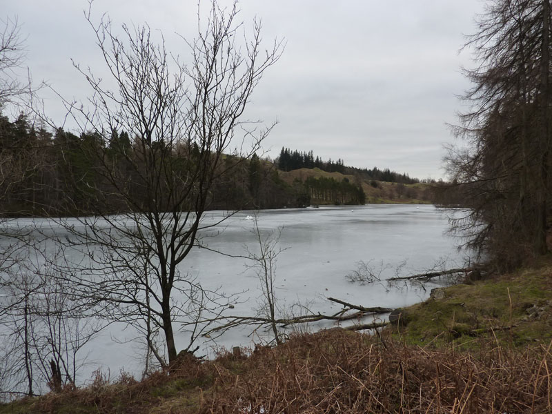 Tarn Hows